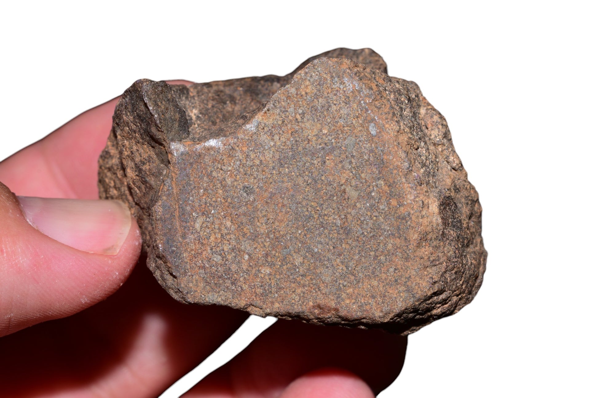 Windowed face of 108g NWA unclassified chondrite meteorite revealing chondritic matrix and primitive solar system material – Buy Meteorite