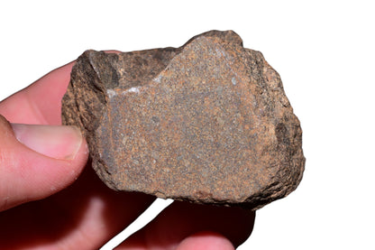Windowed face of 108g NWA unclassified chondrite meteorite revealing chondritic matrix and primitive solar system material – Buy Meteorite