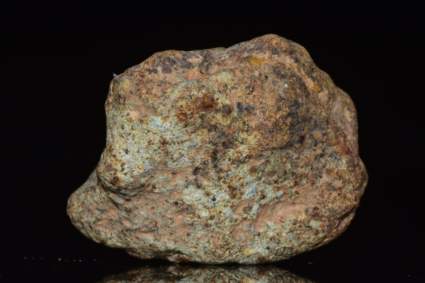 Natural stone meteorite fragment discovered in Northwest Africa