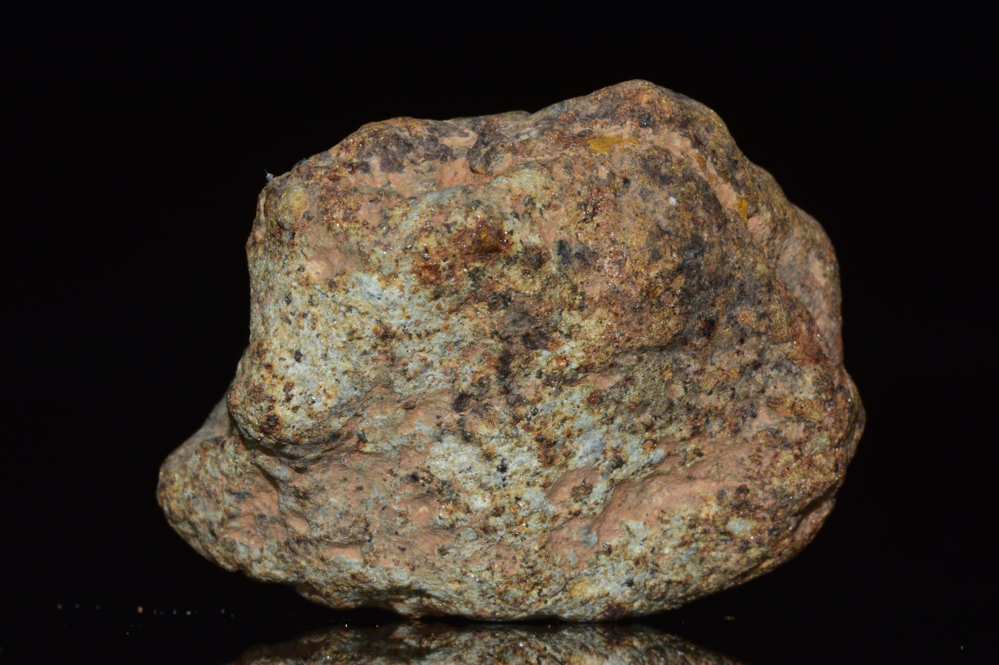 Natural stone meteorite fragment discovered in Northwest Africa