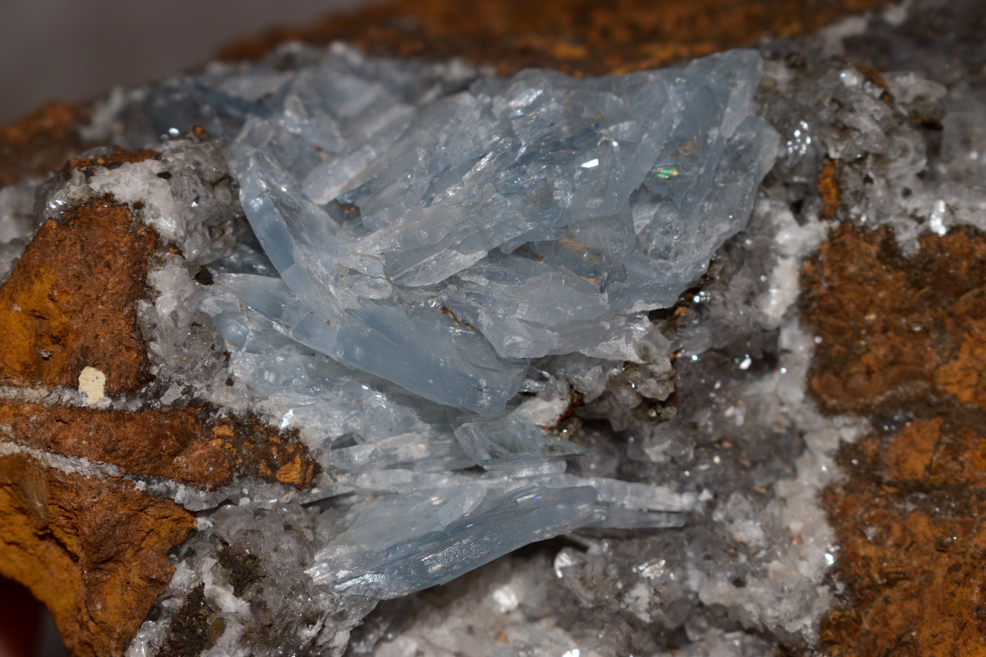 Buy Meteorite LLC blue barite specimen from Morocco featuring lustrous, transparent, tapered bladed crystals on matrix.
