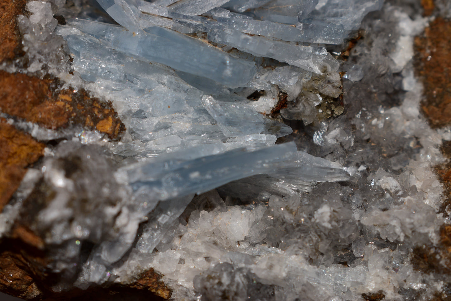 Buy Meteorite LLC blue barite crystal specimen from Morocco featuring lustrous tapered blades on a white matrix.