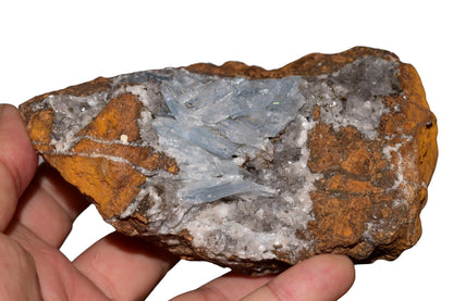 Buy Meteorite LLC transparent blue barite crystal cluster on brown matrix from Jebel Ouichane, Morocco held in hand.