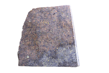 Tranche de météorite chondrite ordinaire H5 NWA 17492 de Buy Meteorite LLC avec texture visible et minéraux métalliques