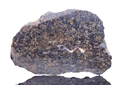 Buy Meteorite LLC NWA 14867 mesosiderite stony-iron meteorite endcut slice with dark brown silicate-metal matrix