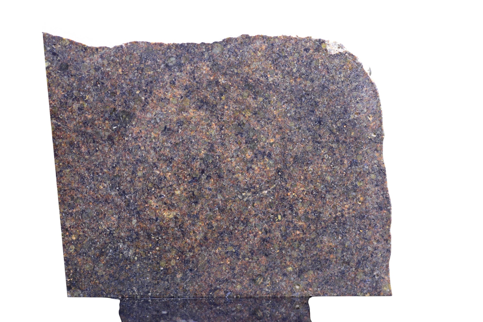 Buy Meteorite LLC NWA 17492 H5 ordinary chondrite meteorite slice with visible chondrules and dark textured matrix.