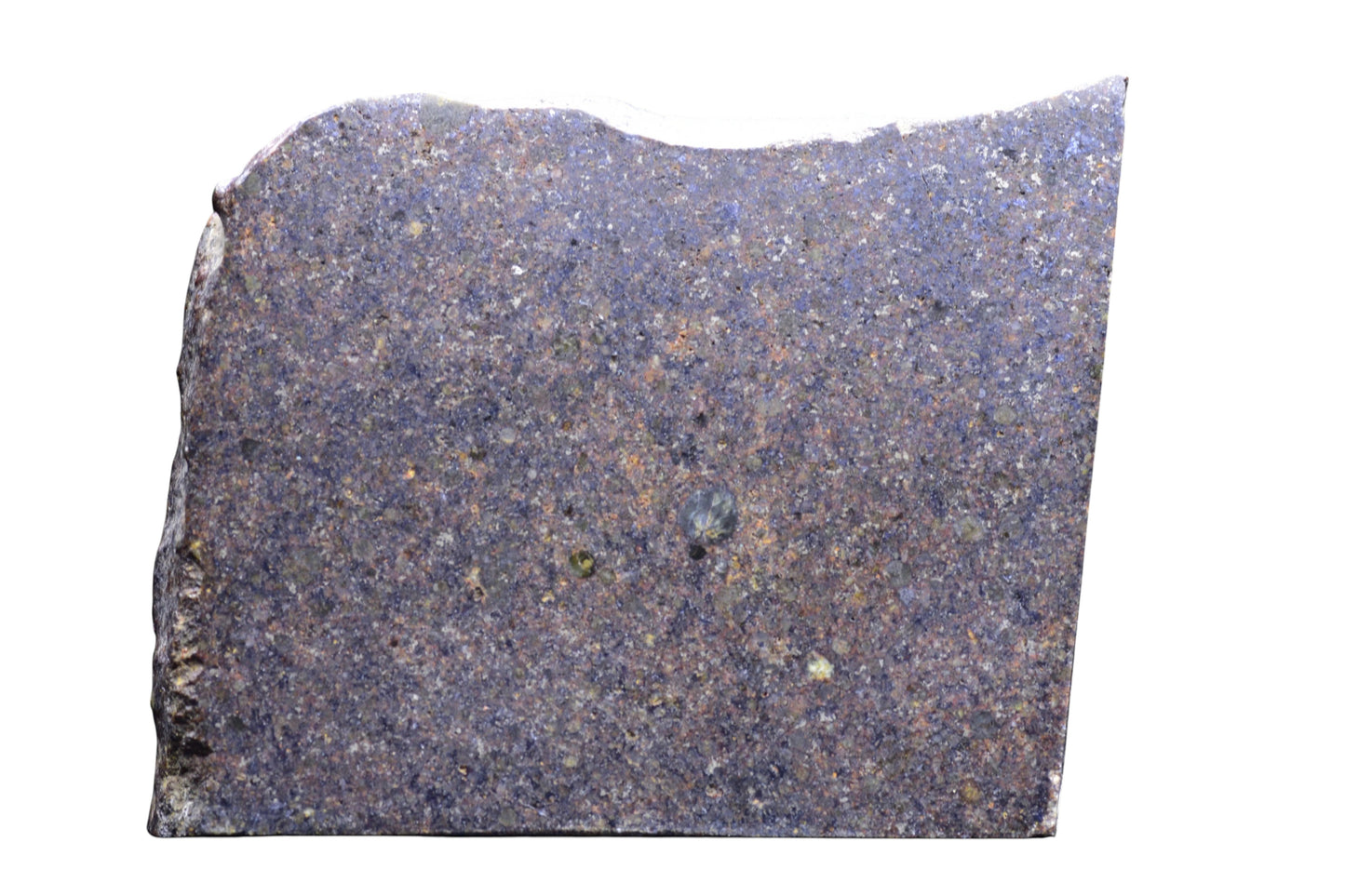 Buy Meteorite LLC NWA 17492 H5 ordinary chondrite meteorite slice with visible chondrules and — alternate view 5