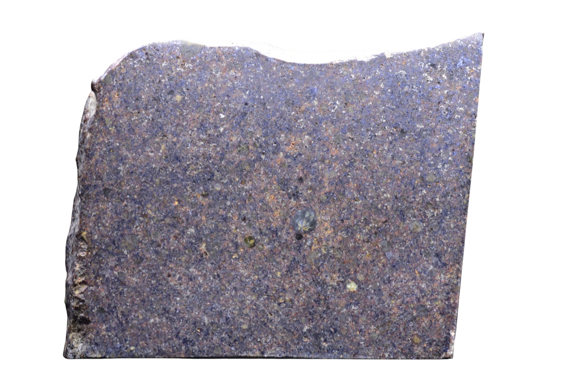 Buy Meteorite LLC NWA 17492 H5 ordinary chondrite meteorite slice with visible chondrules and — alternate view 5