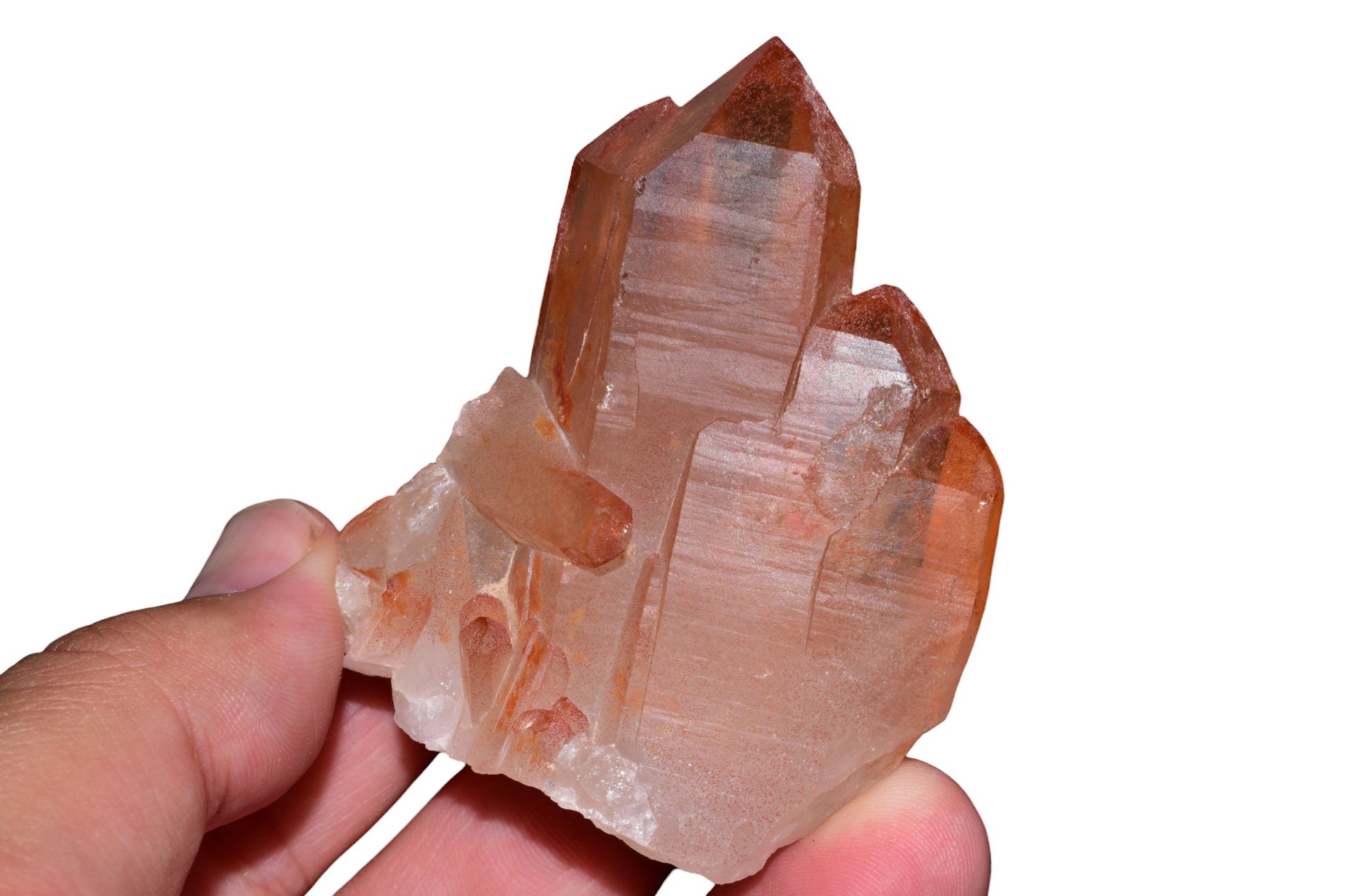 Buy Meteorite LLC red ferruginous quartz crystal cluster from Tinejdad, Morocco, held in a hand against black background