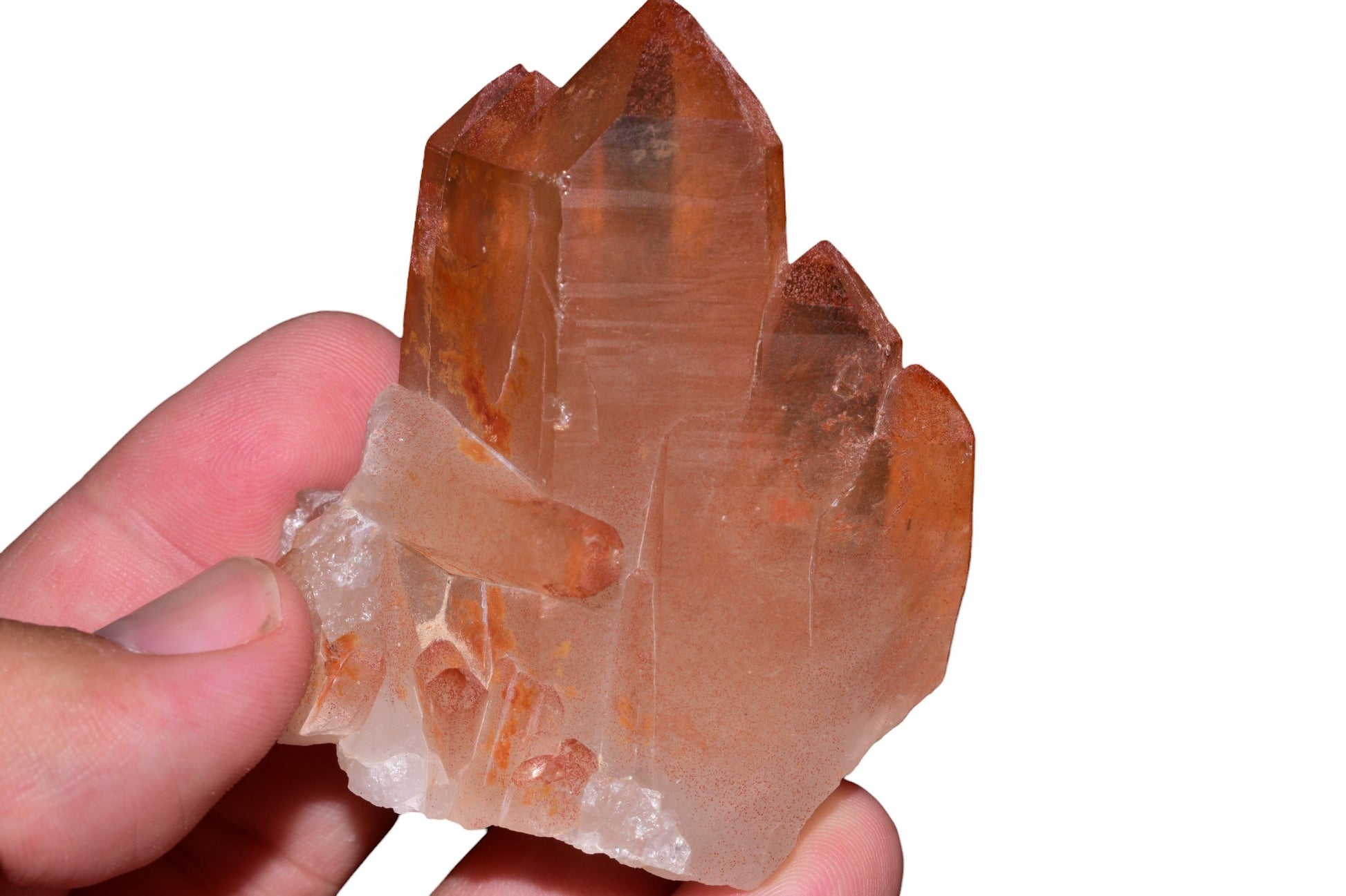 Buy Meteorite LLC red ferruginous quartz crystal cluster from Tinejdad, Morocco, held in hand against black background.
