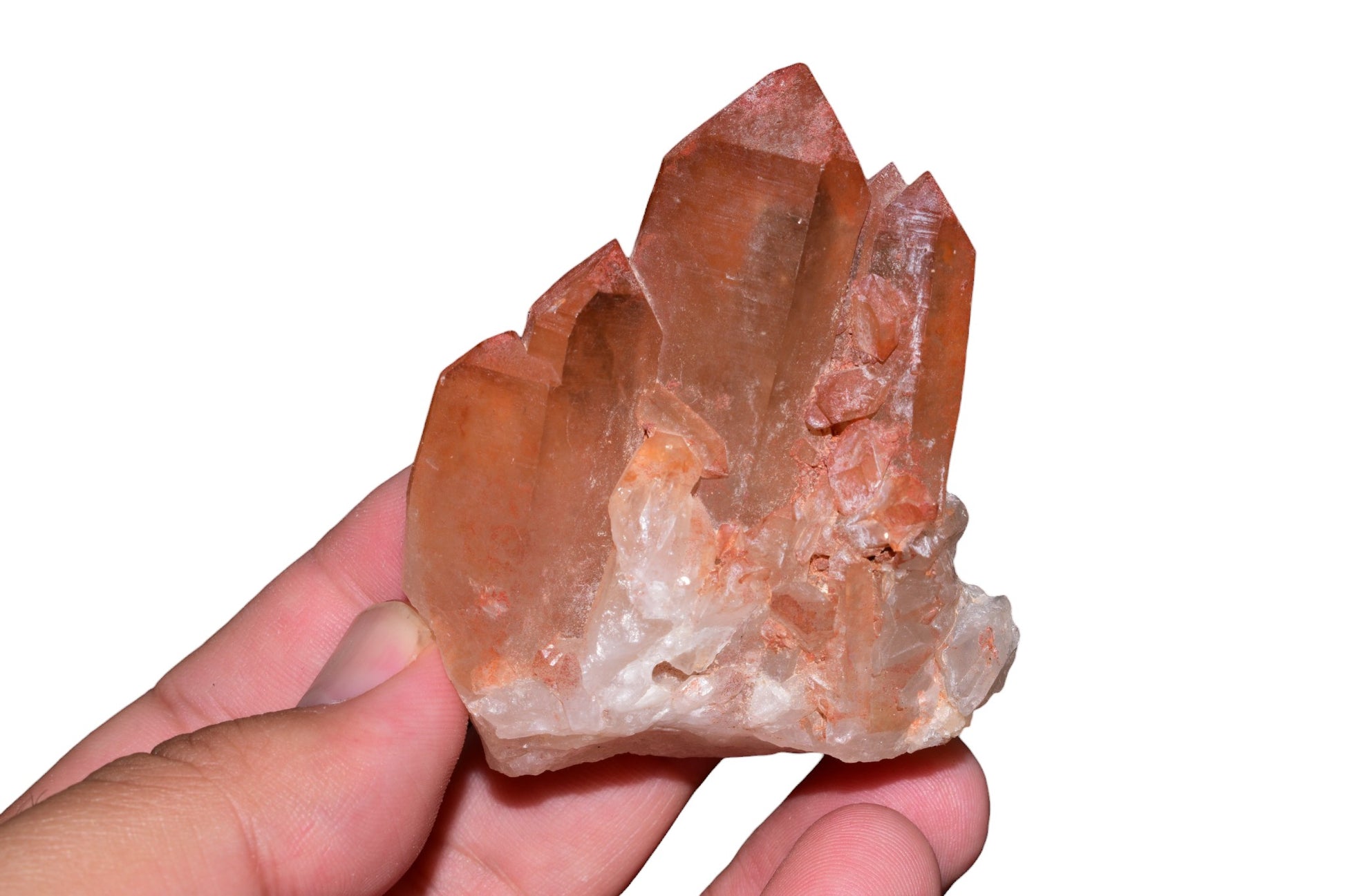 Buy Meteorite LLC red ferruginous quartz crystal cluster from Morocco held in a hand against a black background.