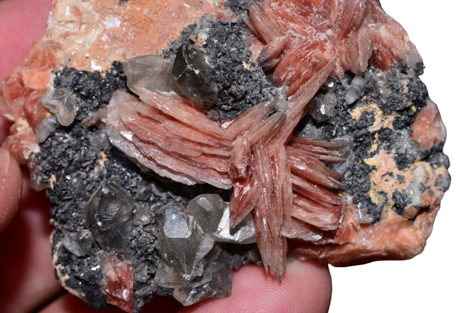 Close-up of pink-orange crested barite blades with translucent cerussite – Mibladen District, Morocco