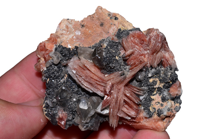 Hand-held view of cerussite crystals on crested orange barite with galena – Mibladen, Morocco