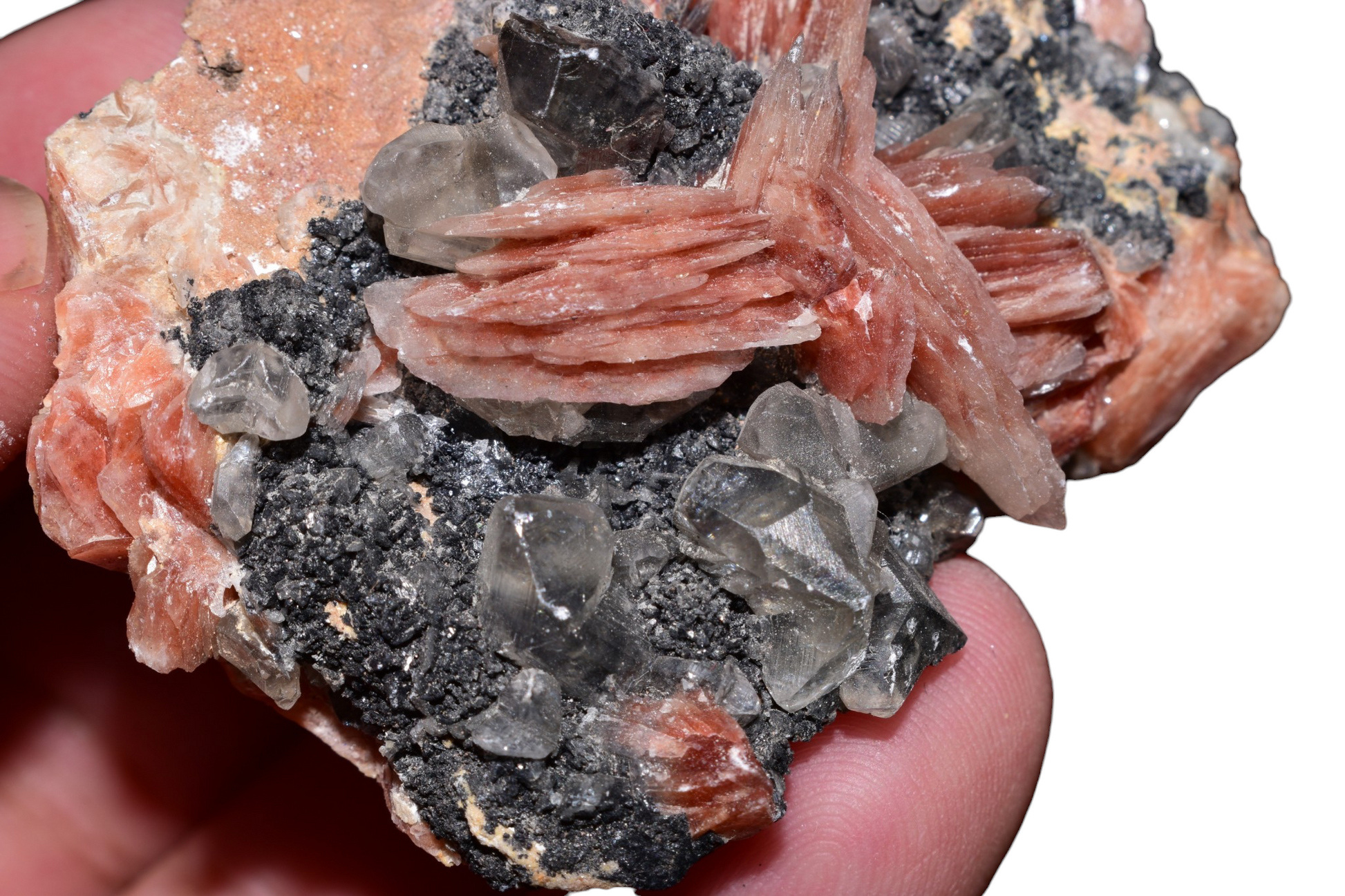 Radiating cerussite crystal fans on barite matrix with galena – Mibladen District, Morocco – collector mineral