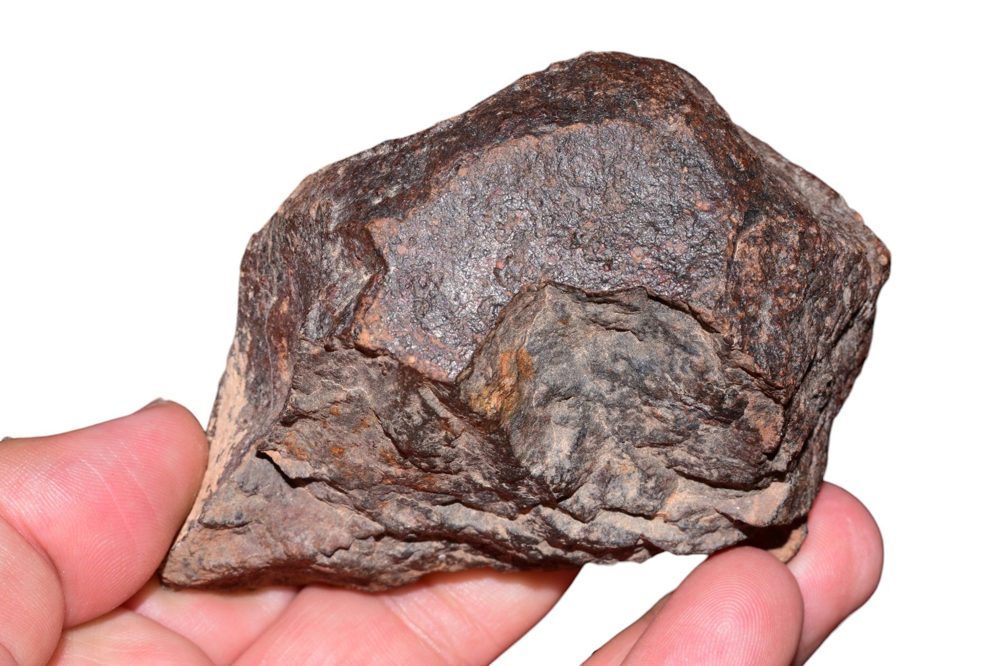 Chondrite meteorite 382g full fragment top view rich dark brown desert patina Moroccan Sahara
