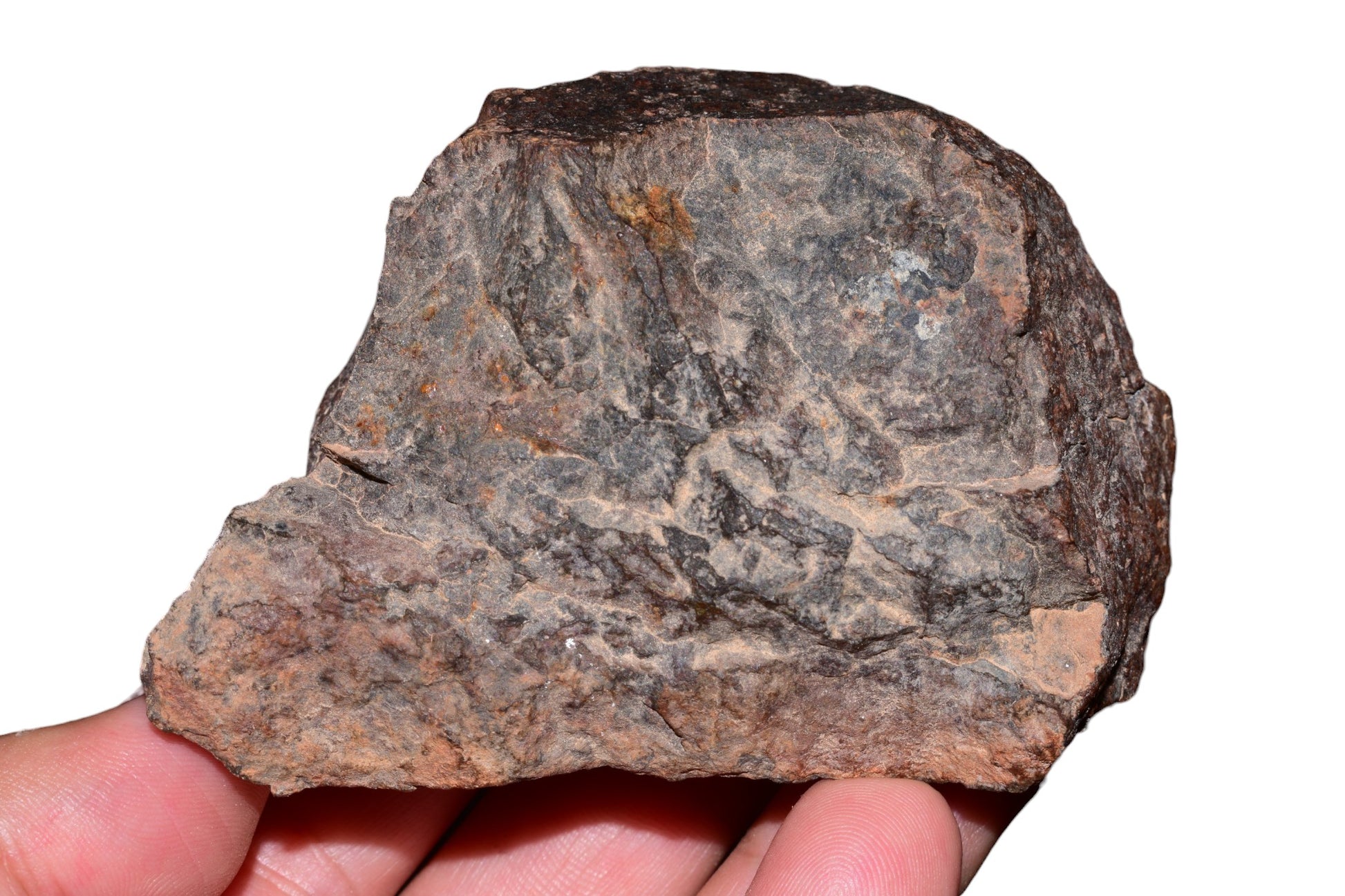 Chondrite meteorite 382g full fragment broad face natural surface texture desert weathering