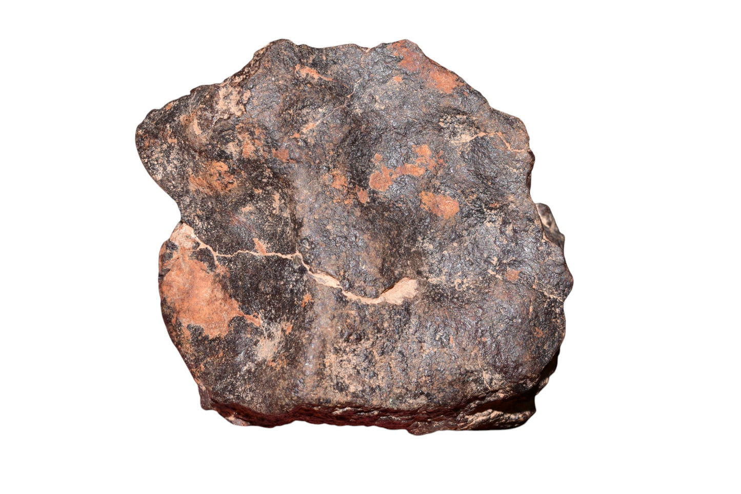 Chondrite meteorite 159g full fragment dark face dense crust coverage desert weathering