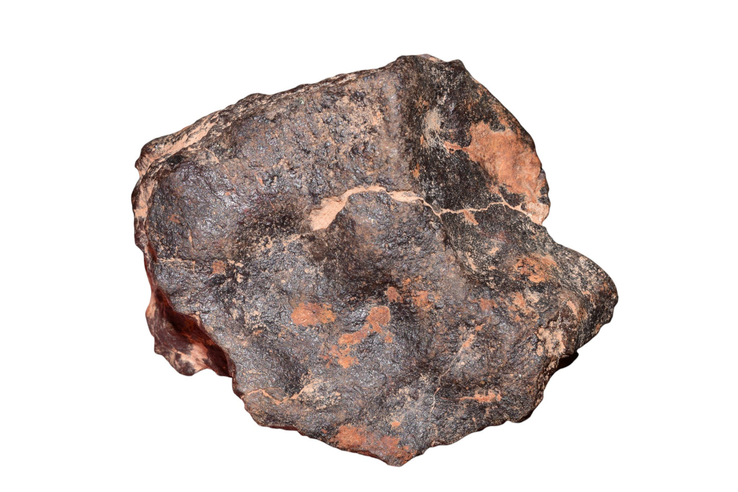 Chondrite meteorite 159g full fragment angular 3 quarter view natural surface texture Morocco