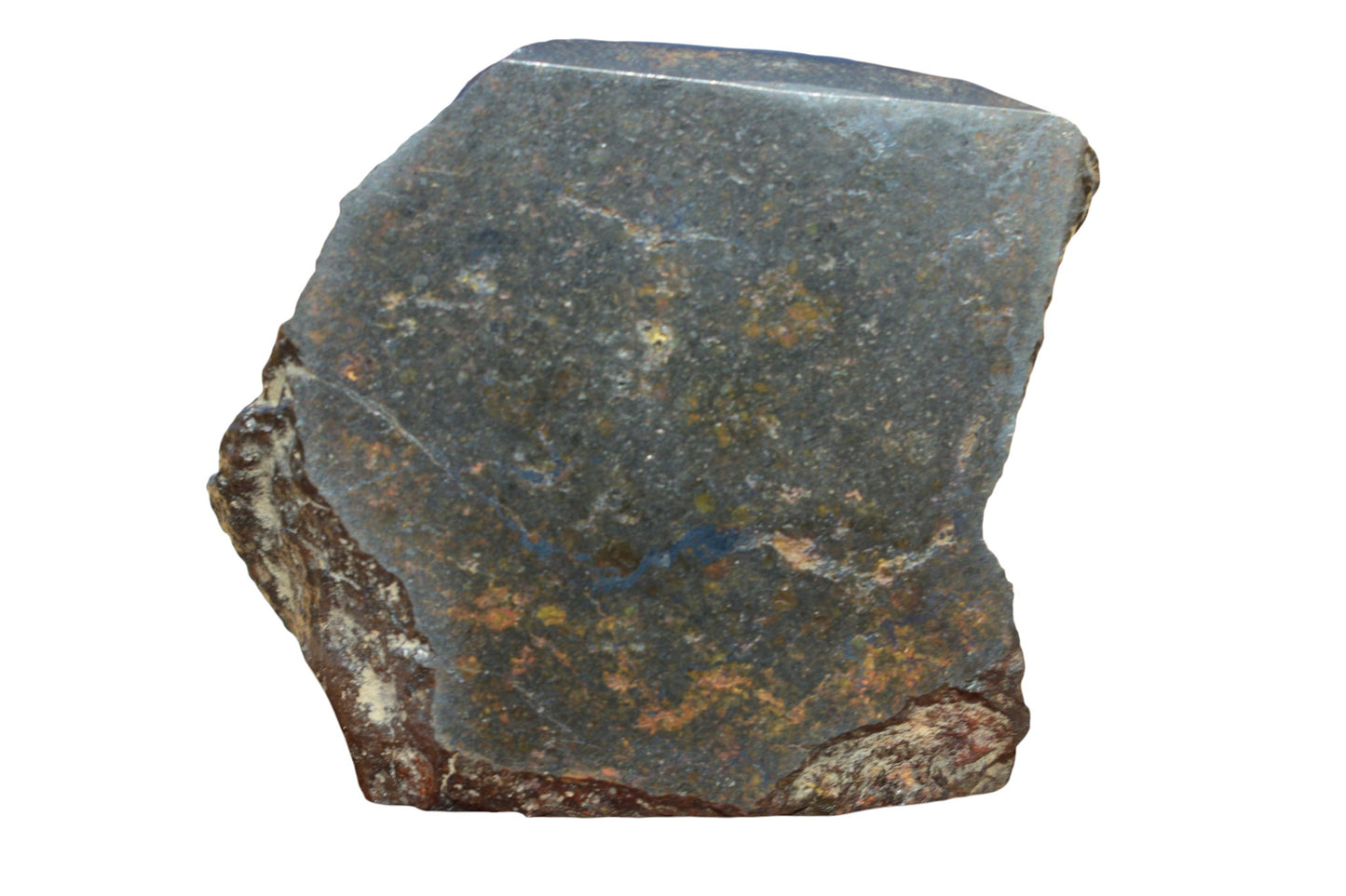 NWA 14886 meteorite main mass held in hand for scale – 65.9g rare L3 chondrite, 55x51x19mm