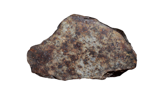 Moroccan chondrite meteorite 31g endcut polished face showing chondrules for sale
