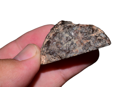 Moroccan chondrite meteorite 31g hand held showing dark fusion crust