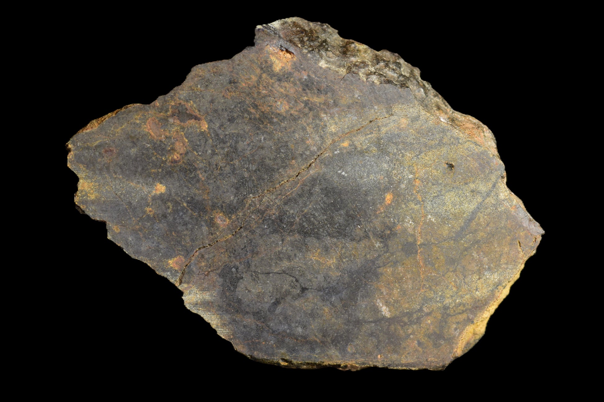 Natural NWA 13272 Ungrouped Achondrite meteorite slice, 6.03g, showcasing unique mineral patterns and dark, textured surface.
