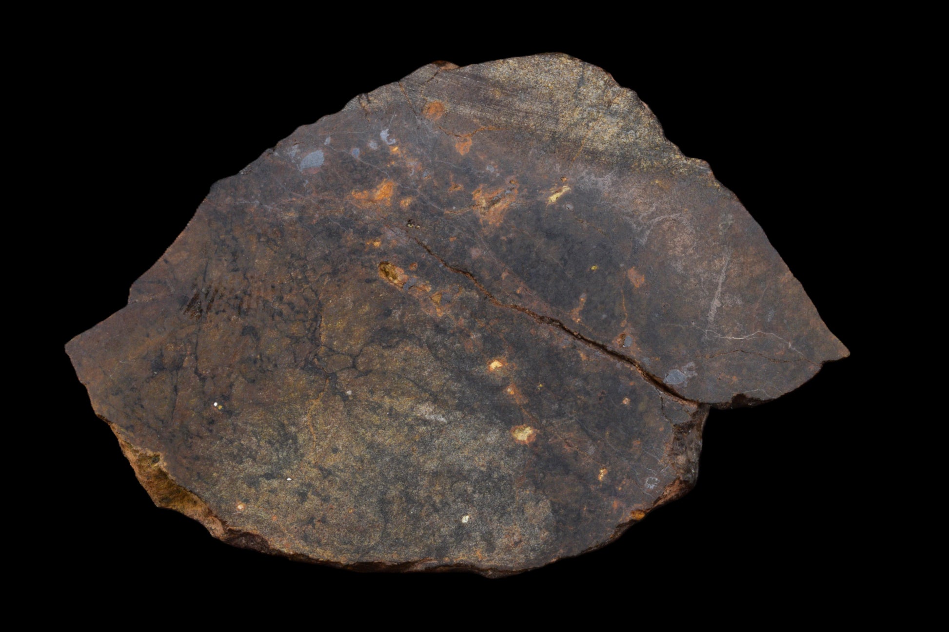 Natural NWA 13272 meteorite slice from ungrouped achondrite, showcasing its textured, dark mineral surface and unique extraterrestrial features.