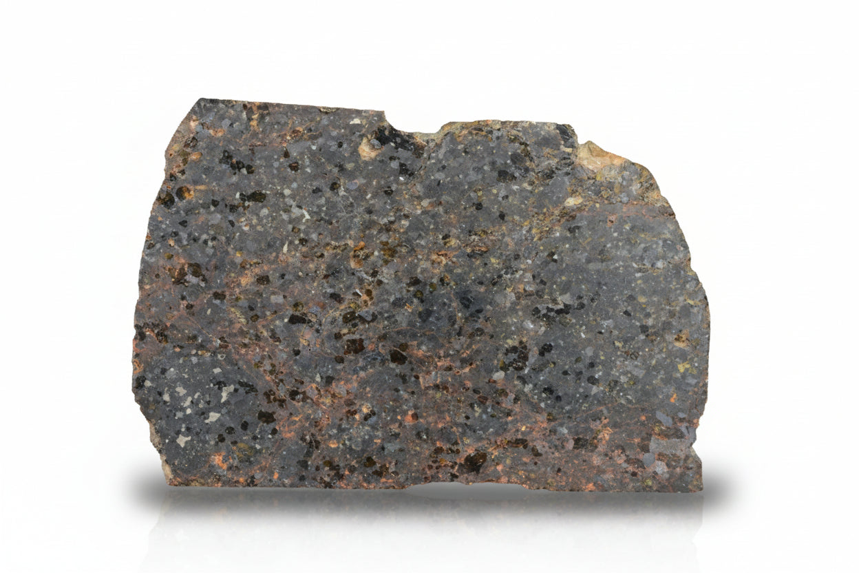 Brachinite NWA 11756 meteorite slice showing metallic and crystalline textures, weighing 5.98 grams, from Buy Meteorite, LLC.