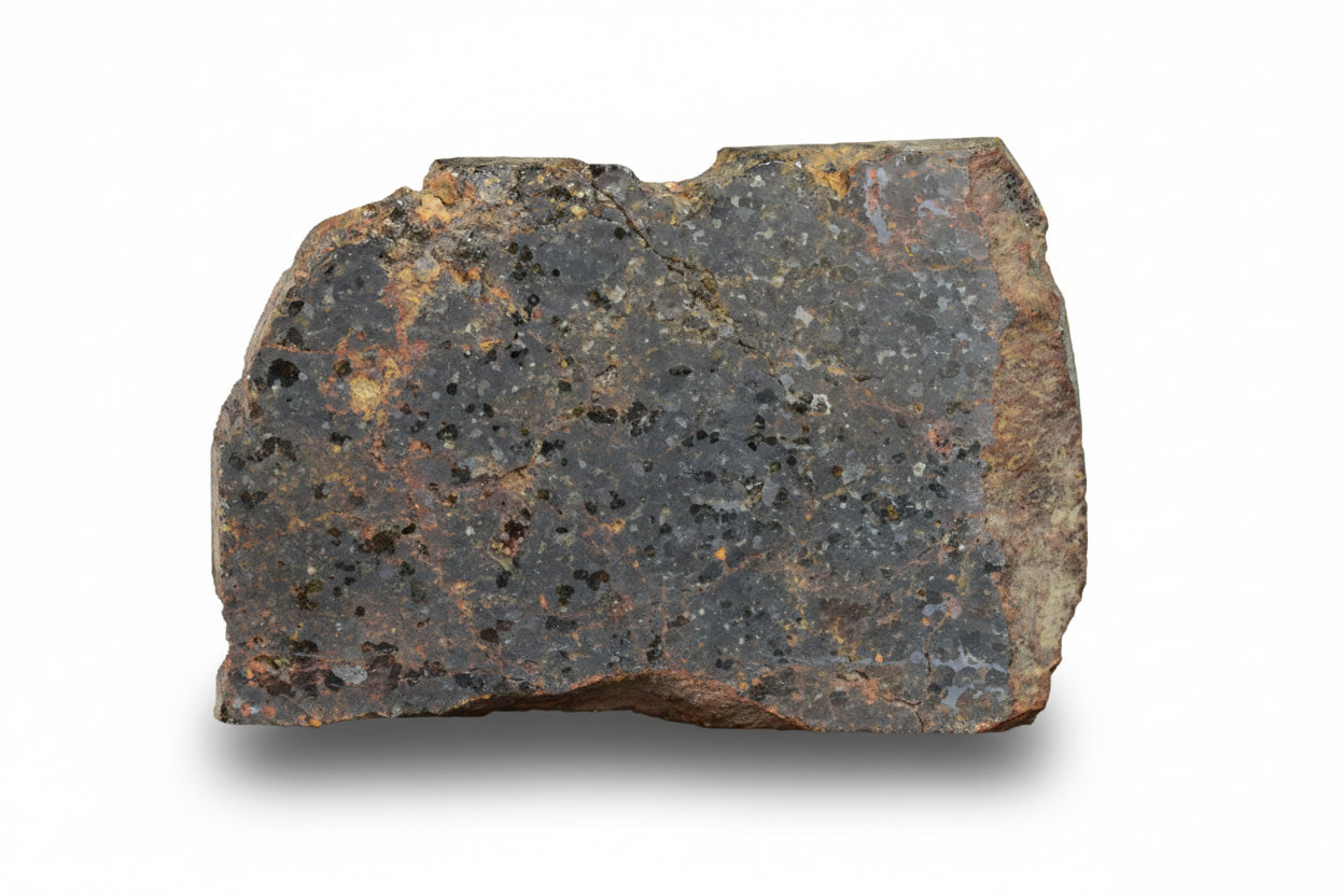 Brachinite NWA 11756 meteorite slice showing metallic mineral structure and dark fusion crust, weighing 5.98 grams.
