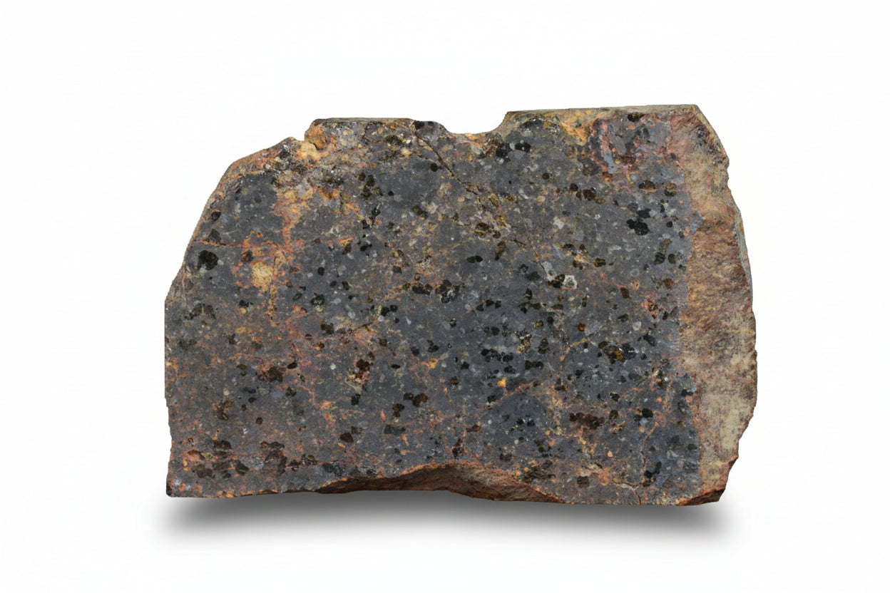 Brachinite NWA 11756 meteorite slice showing gray matrix and mineral patterns, weighing 5.98 grams.