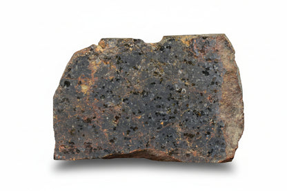 Brachinite NWA 11756 meteorite slice showing gray matrix and mineral patterns, weighing 5.98 grams.