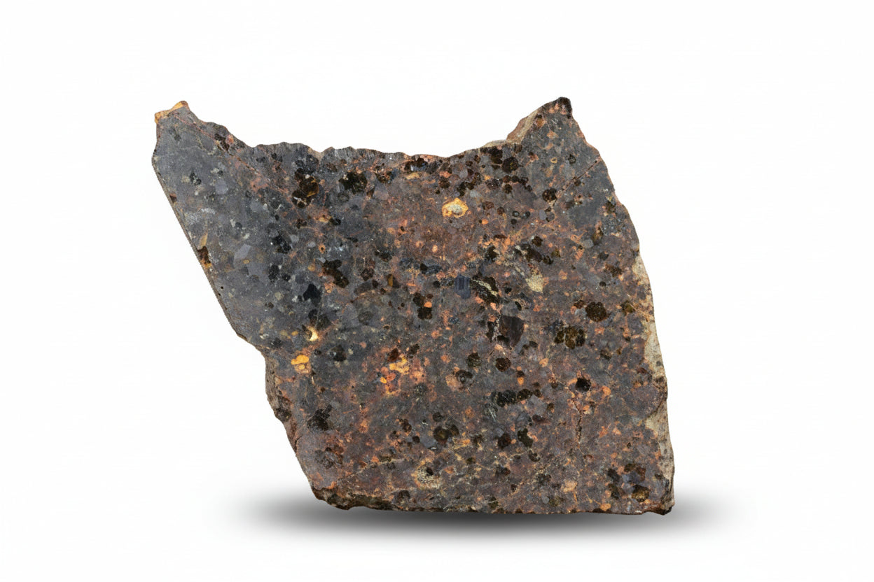 Brachinite NWA 11756 meteorite slice showing metallic and earthy textures, weighing 2.86 grams.