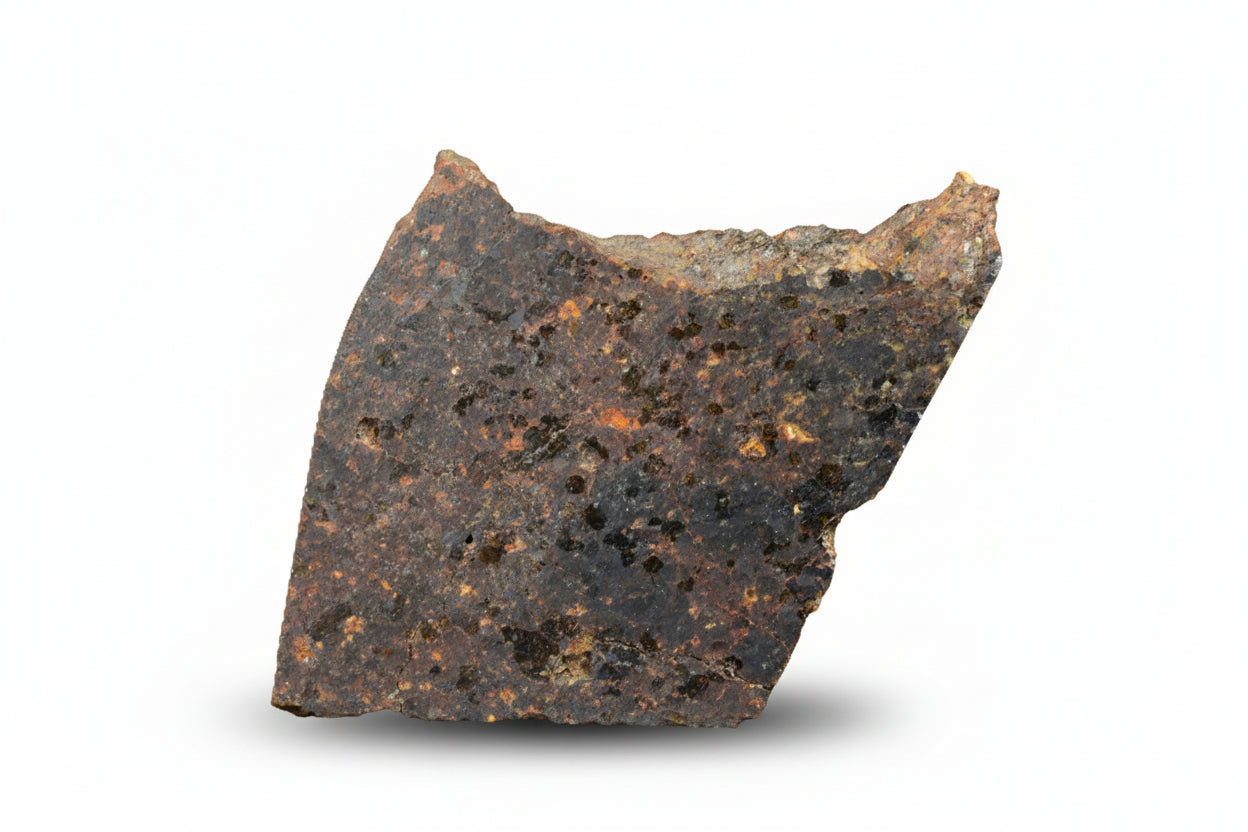 Brachinite NWA 11756 meteorite slice from Buy Meteorite, LLC, showcasing dark mineral matrix with metallic inclusions.