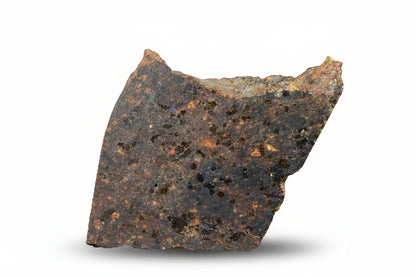 Brachinite NWA 11756 meteorite slice showing metallic and mineral-rich interior, weighing 2.86 grams.