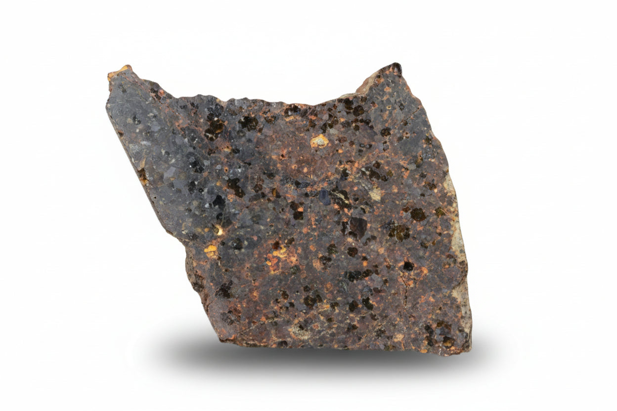 Slice of Brachinite NWA 11756 meteorite showing metallic and mineral-rich textures, weighing 2.86 grams.