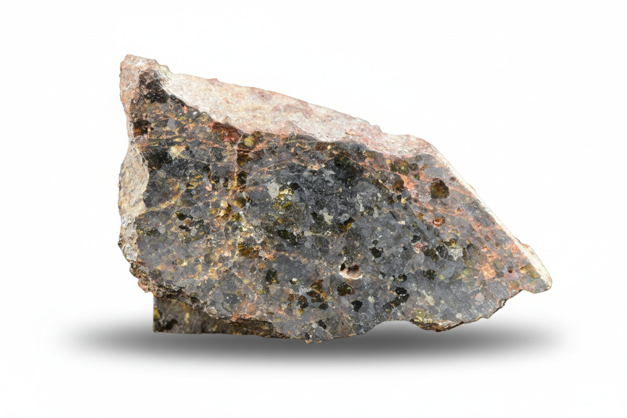 Close-up of a Brachinite NWA 11756 meteorite slice showing metallic and mineral-rich textures, weighing 1.52 grams.