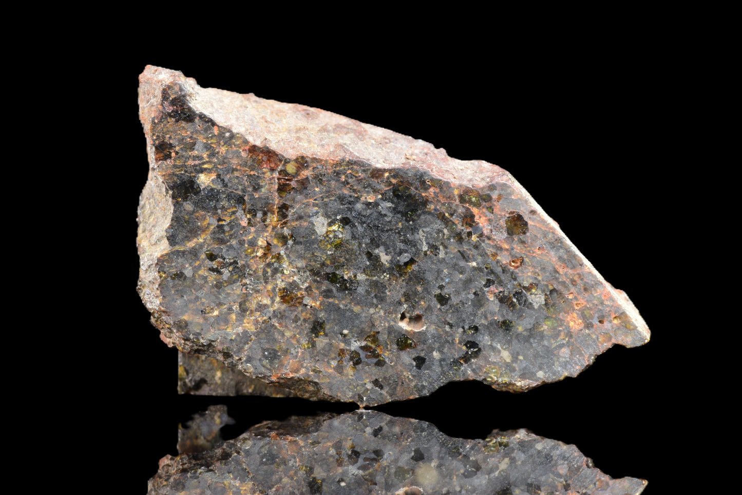 Brachinite NWA 11756 meteorite slice showing smooth, dark mineral surface with light-colored mineral inclusions.