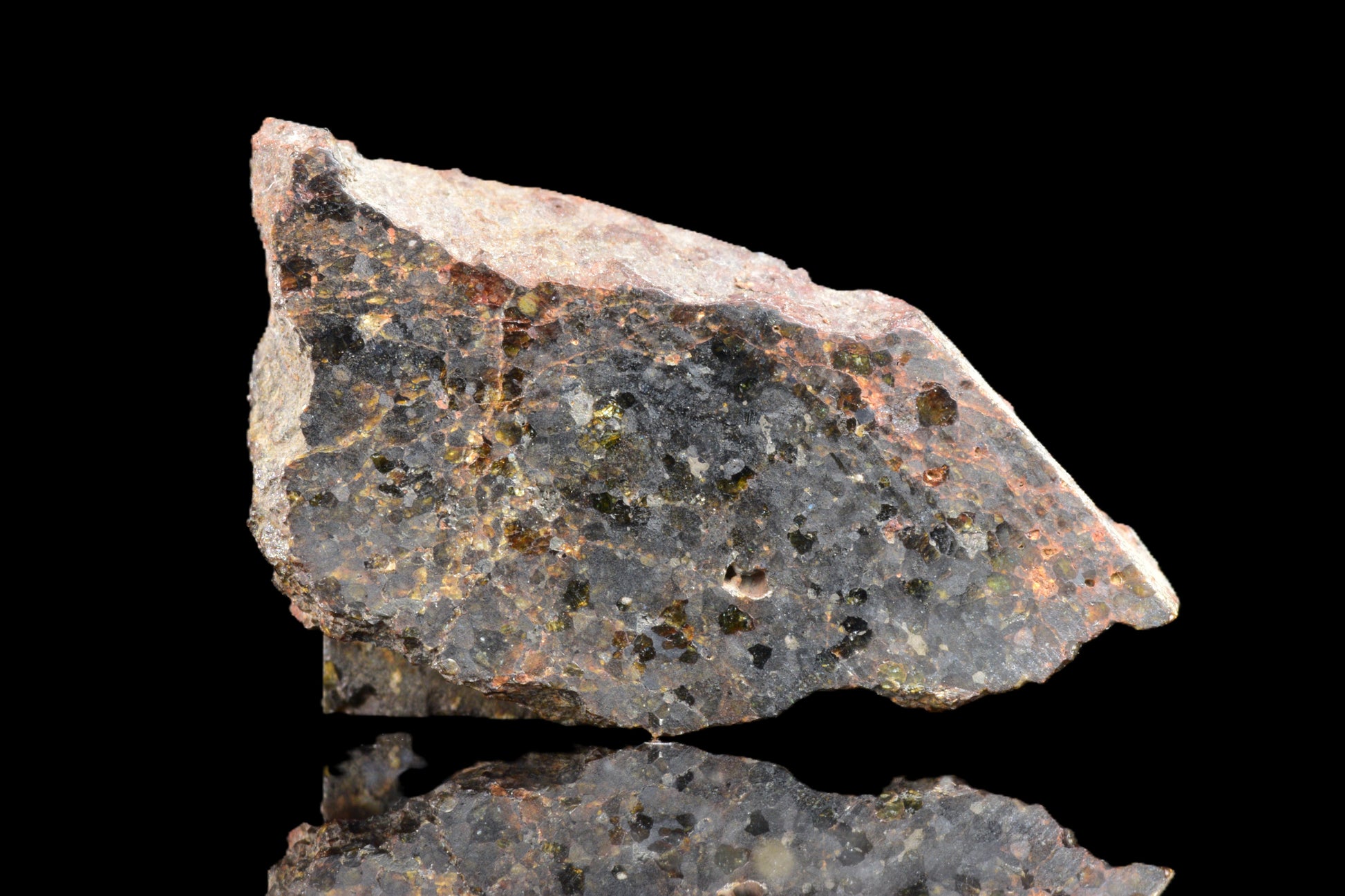 Brachinite NWA 11756 meteorite slice showing smooth, dark mineral surface with light-colored mineral inclusions.