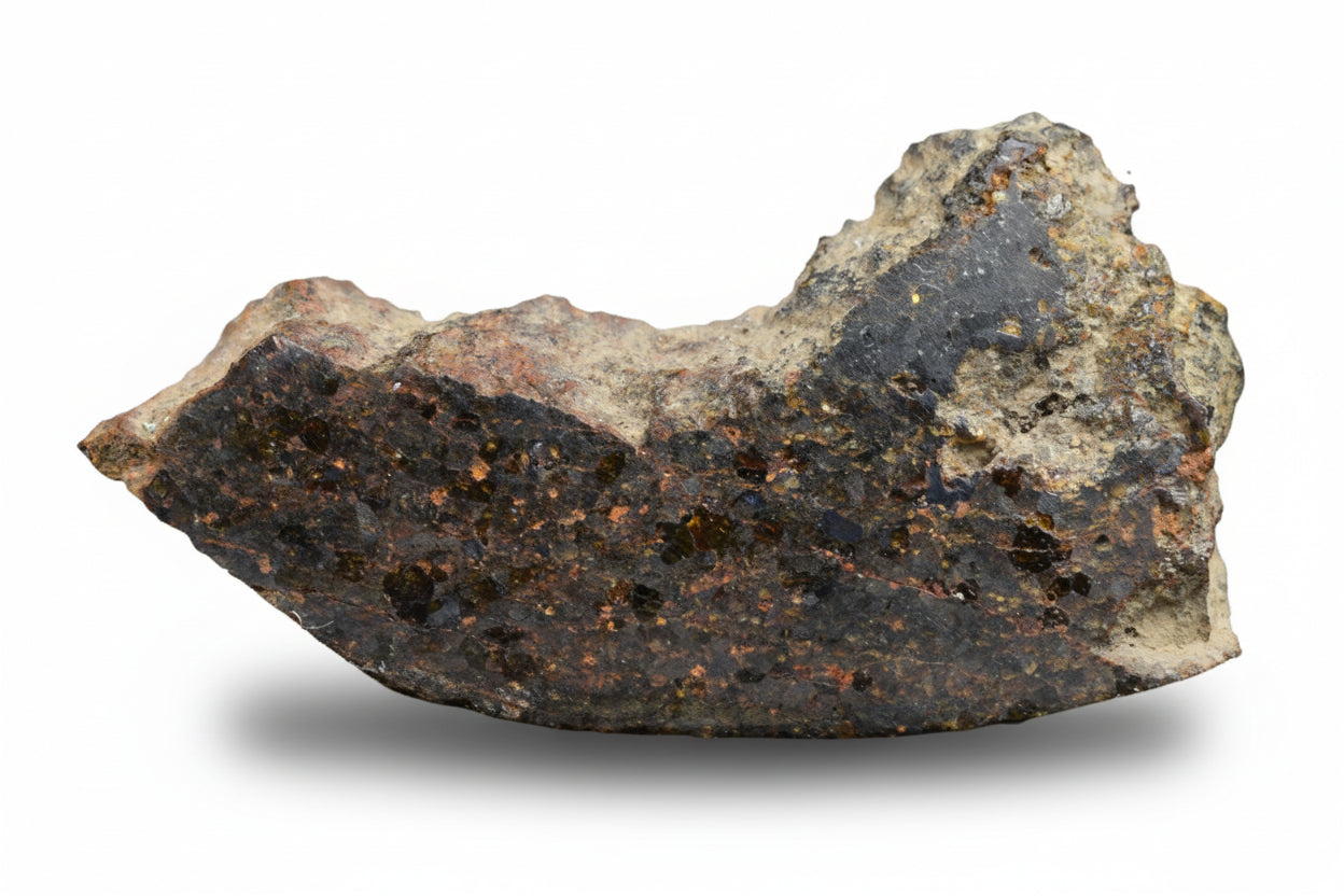 Brachinite NWA 11756 meteorite slice showing metallic and mineral textures, weighing 1.30 grams, from Buy Meteorite, LLC.