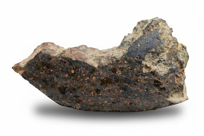 Brachinite NWA 11756 meteorite slice showing metallic and mineral textures, weighing 1.30 grams, from Buy Meteorite, LLC.