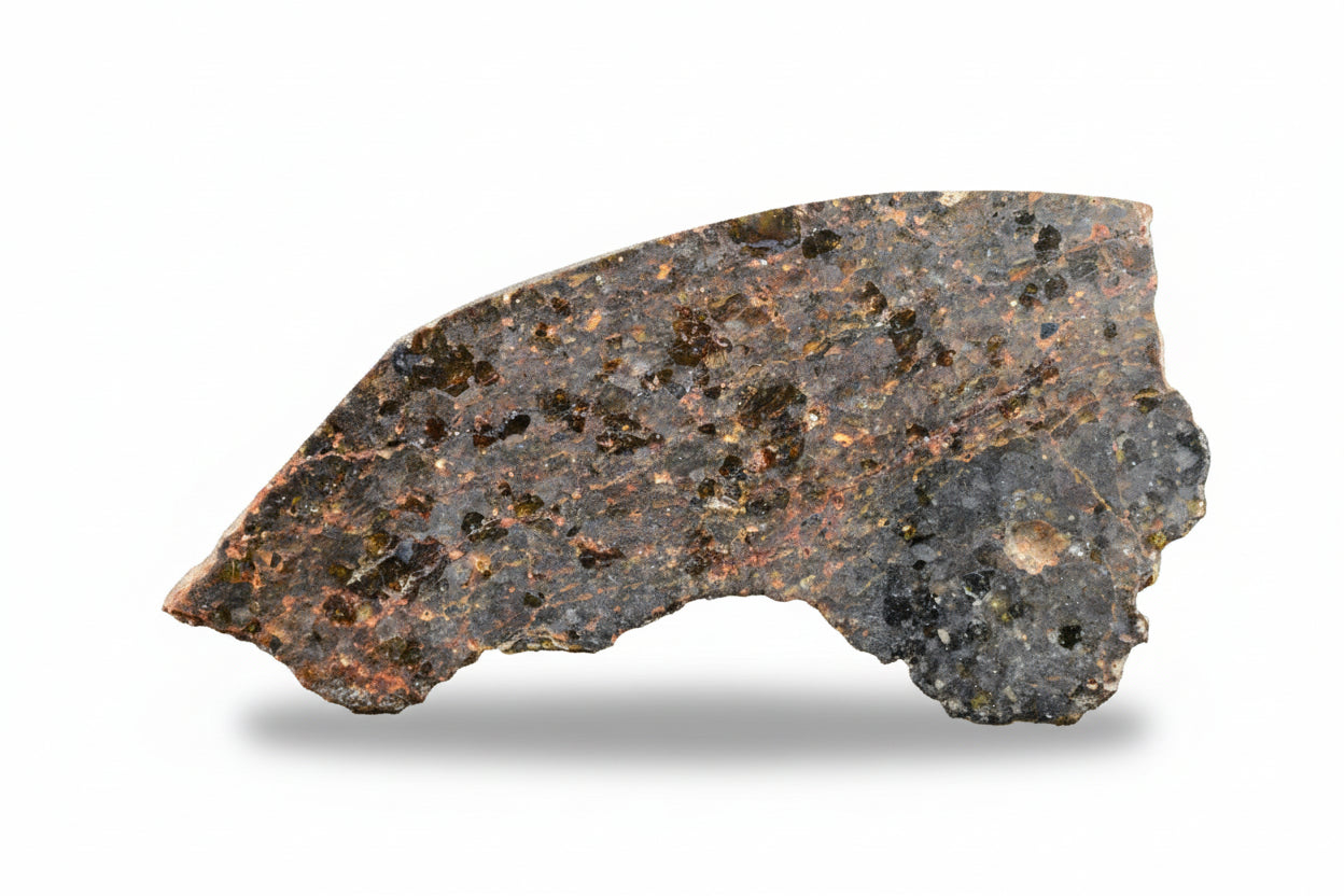Brachinite NWA 11756 meteorite slice showing dark matrix and mineral inclusions, weighing 1.30 grams.