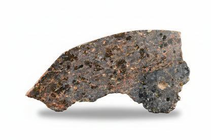 Brachinite NWA 11756 meteorite slice showing dark matrix and mineral inclusions, weighing 1.30 grams.