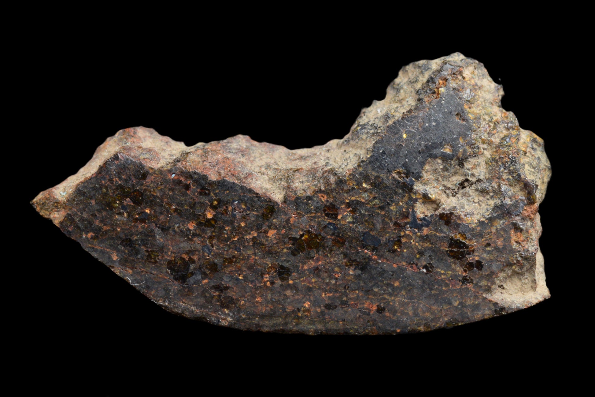 Brachinite NWA 11756 meteorite slice showing metallic and mineral textures, weight 1.30 grams, from Buy Meteorite, LLC.
