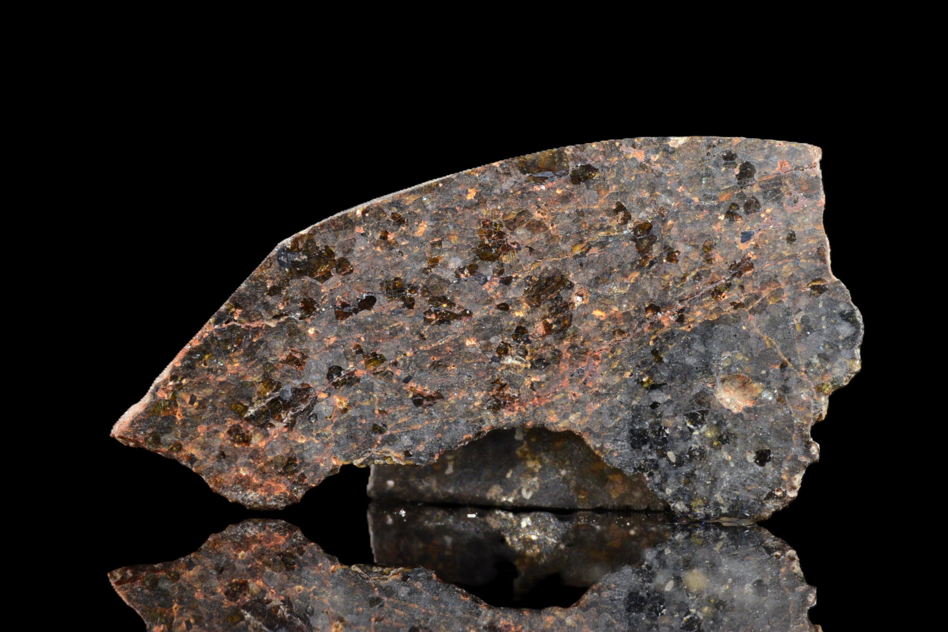 Brachinite NWA 11756 meteorite slice showing dark fusion crust and metallic mineral interior, weighing 1.30 grams.