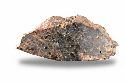 Close-up of a Brachinite NWA 11756 meteorite slice showing its textured, metallic surface and mineral details.
