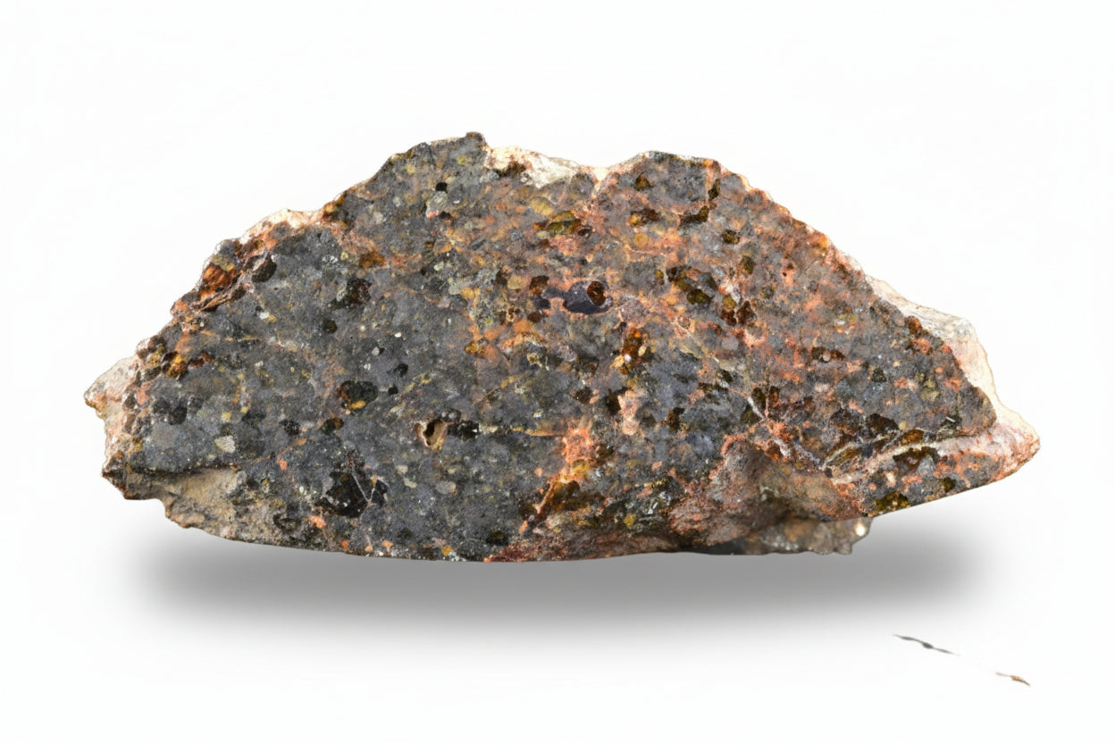 Slice of Brachinite NWA 11756 meteorite showing metallic and mineral textures, weighed 1.32 grams, from Buy Meteorite, LLC.