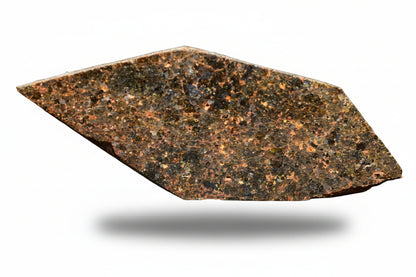 Macro shot of a Brachinite NWA 11756 meteorite slice showing its textured, grayish surface with mineral inclusions.