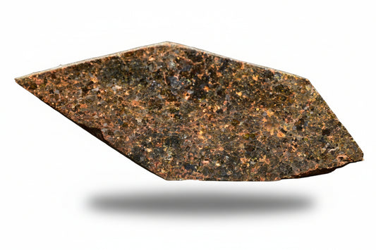Macro shot of a Brachinite NWA 11756 meteorite slice showing its textured, grayish surface with mineral inclusions.