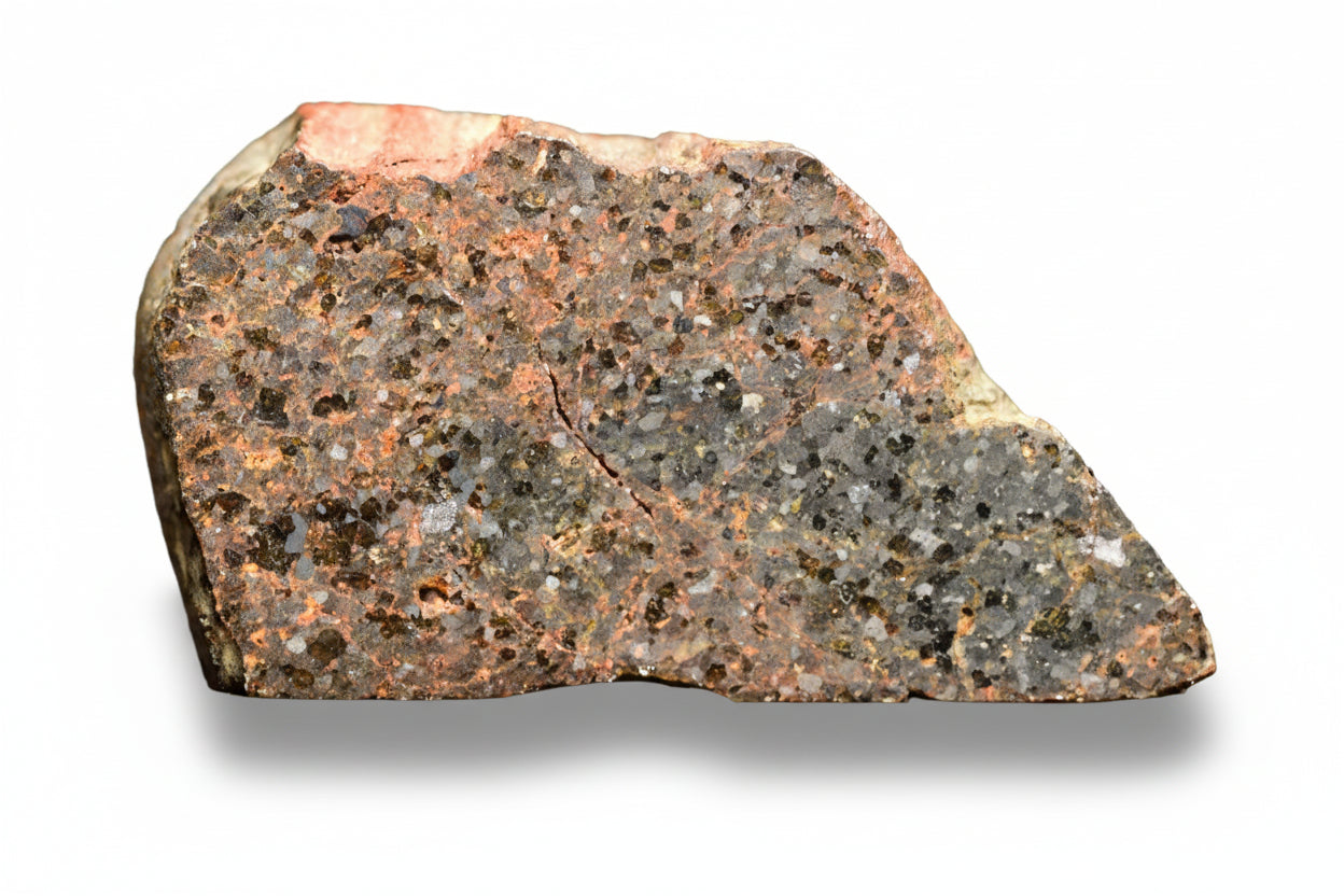 Macro shot of a Brachinite meteorite slice NWA 11756 from Buy Meteorite, LLC, showing its textured, mineral-rich surface.