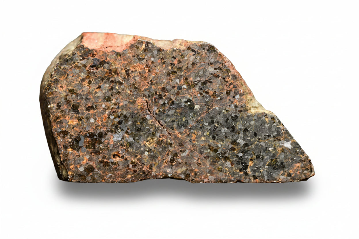 Slice of Brachinite NWA 11756 meteorite showing metallic and mineral-rich textures, weighing 3.05 grams.
